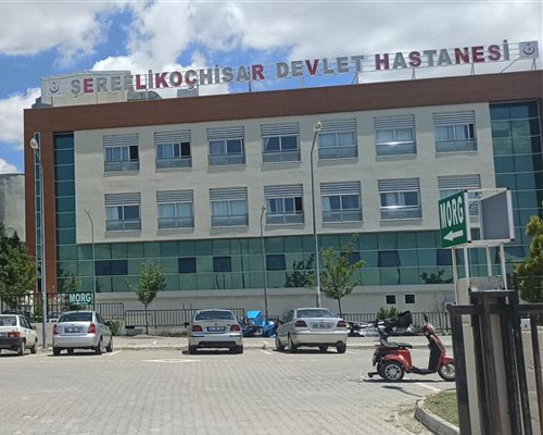 sereflikochisar
